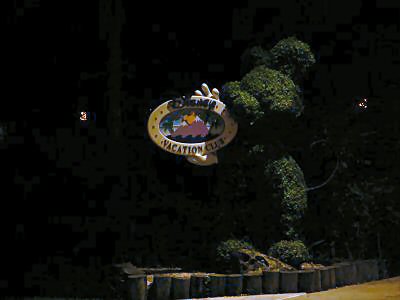 DVC Mickey