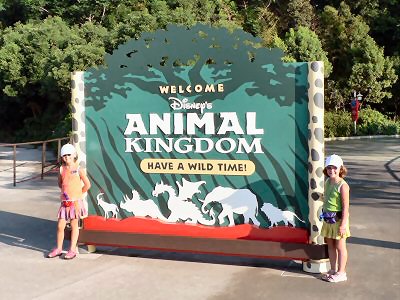 Animal Kingdom
