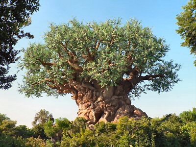 Tree of Life