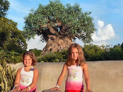 Animal Kingdom