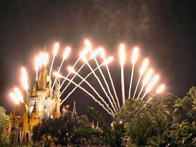 Wishes