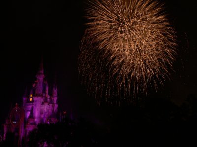 Wishes