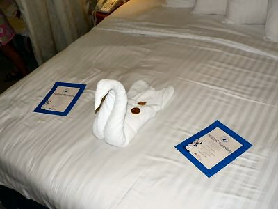 Our last towel animal and Magical Moment certificates