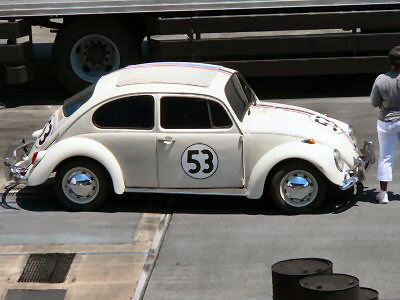Special Guest Appearance by Herbie!