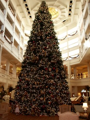 Main Lobby Tree