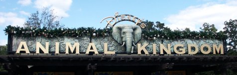 Animal Kingdom