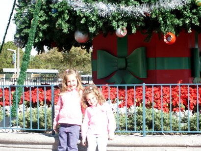 Girls under the MGM Tree