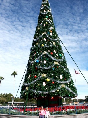 MGM Tree