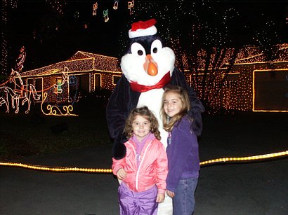 Penguin in the Osbourne Lights