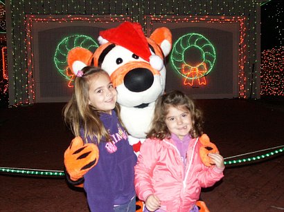 Tigger in the Osbourne Lights