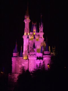 Nighttime Castle