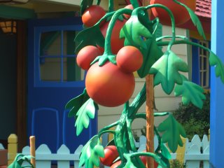 Mickey Tomatoes