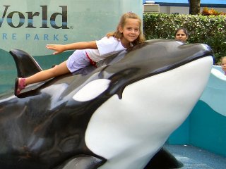 Ride that Whale!