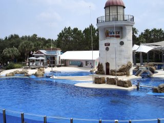 Key West Dolphin Show