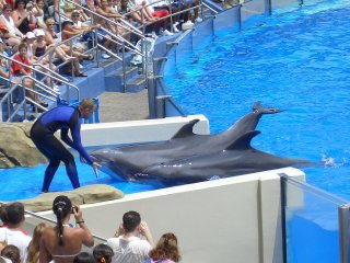 saying hi to the audience