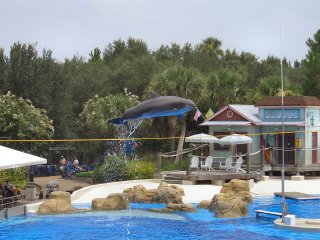 That was an amazingly high rope to jump over!