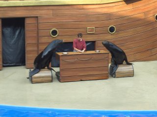 Clyde and Seamore Show