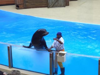 Clyde and Seamore Show