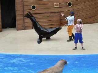 Clyde and Seamore Show