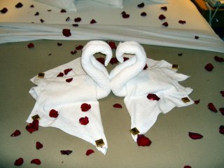 Our Romantic Swan Critters