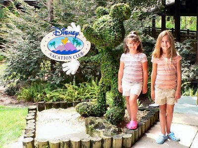 VWL DVC Sign