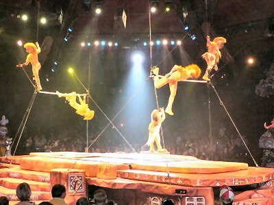 Festivale of the Lion King