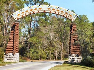 Arriving at the Wilderness Lodge