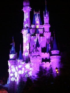 Castle during 'Celebrate the Season Show'