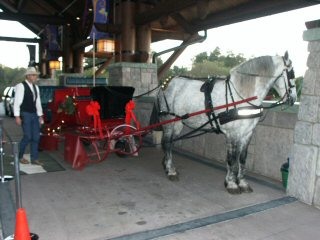 WL Sleigh Ride