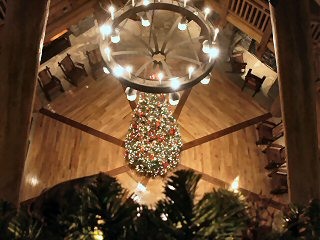 Looking Down from 4th floor to VWL Lobby Tree