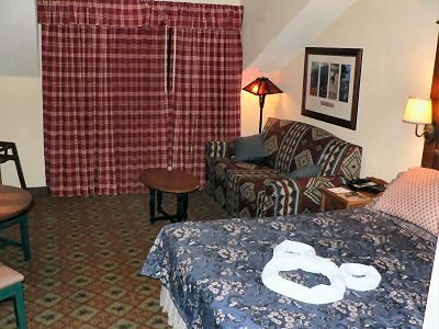 Villas at the Wilderness Lodge Studio