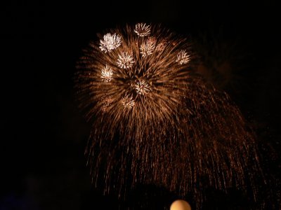 Special Wishes Fireworks
