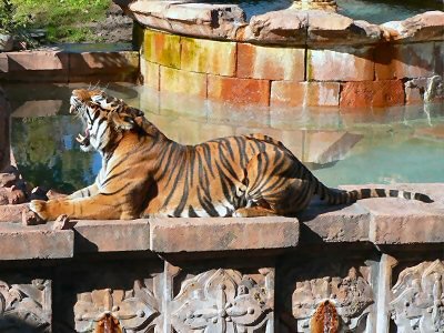 Maharajah Jungle Trek