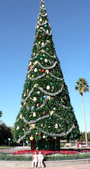 MGM Tree
