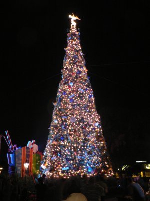 Epcot at Night