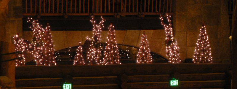Wilderness Lodge