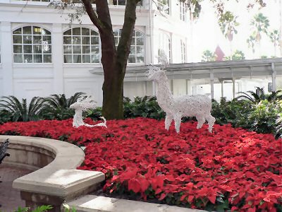 Outside the Grand Floridian