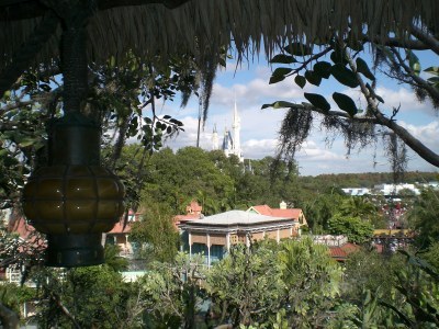 Great view from Treehouse!
